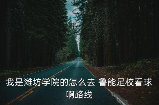 我是濰坊學(xué)院的怎么去 魯能足校看球啊路線
