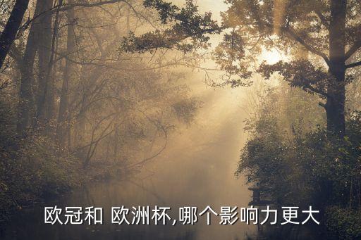 歐洲杯和歐冠哪個(gè)好看,歐冠與埃托奧、德羅巴等非洲球星的差距