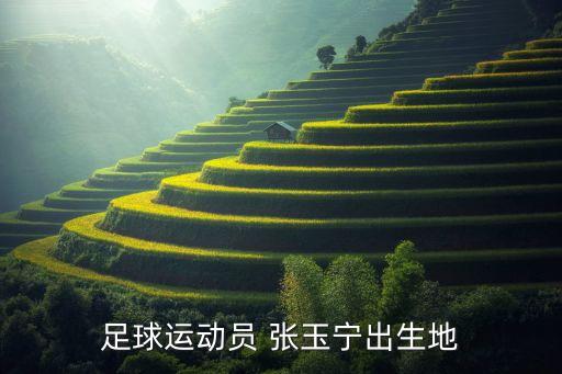 張玉寧屬于哪個(gè)隊(duì),中國足球少年張玉寧歐冠生涯首次亮相