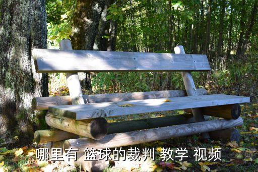哪里有 籃球的裁判 教學 視頻