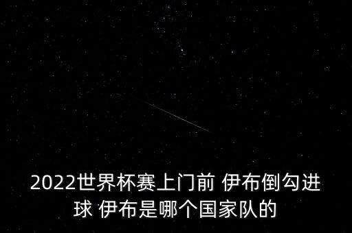 2022世界杯賽上門前 伊布倒勾進球 伊布是哪個國家隊的