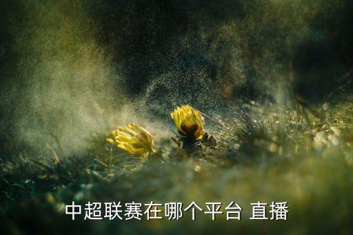 中超聯(lián)賽在哪個(gè)平臺 直播