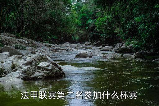 法國杯和法聯杯哪個重,法聯杯冠軍是里爾馬賽法甲名額分配如下