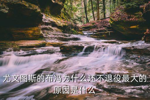 布馮是哪個隊的,世界杯、亞辛獎是布馮向世界證明自己的舞臺
