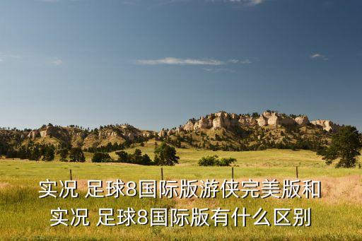 實(shí)況足球8哪個版本好玩,實(shí)況足球9好玩嗎?