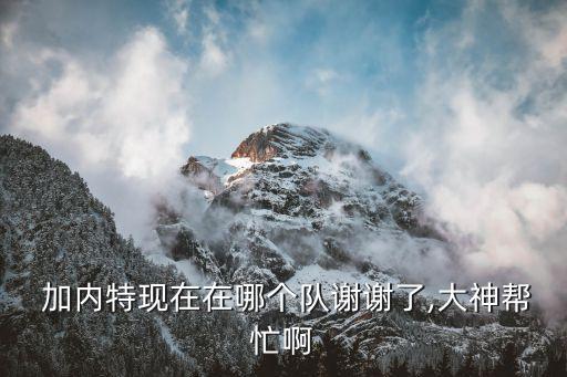 加內特現在在哪個隊,籃球巨星拜仁收購nba球員凱加內特