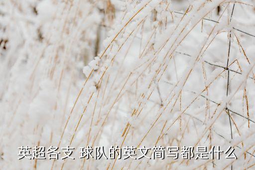 科林蒂安是哪個球隊(duì),巴西國足球隊(duì)獲世界杯足球賽冠軍最多
