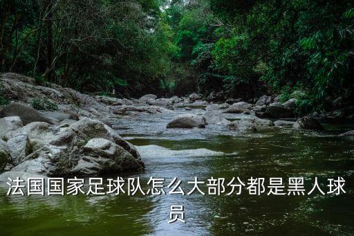 帕耶在哪個(gè)俱樂(lè)部,法國(guó)引進(jìn)非裔球員比如博格巴和佩耶