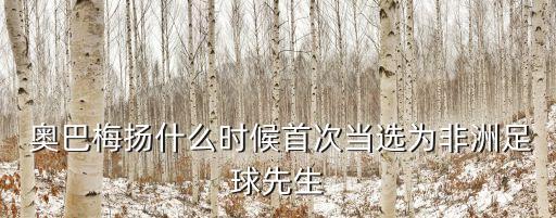 奧巴梅揚在哪個隊,轉會阿森納巴梅揚揭幕