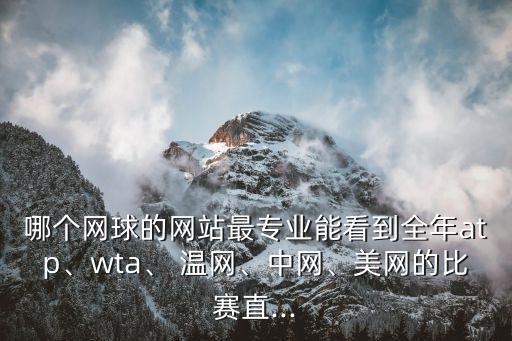 哪個網(wǎng)球的網(wǎng)站最專業(yè)能看到全年atp、wta、 溫網(wǎng)、中網(wǎng)、美網(wǎng)的比賽直...