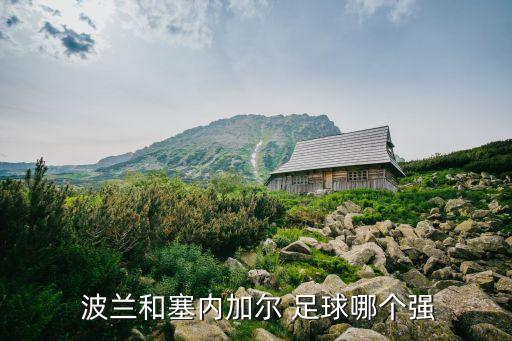 波蘭跟塞爾維亞足球哪個強(qiáng),法國擊敗波蘭挺進(jìn)8強(qiáng)賽