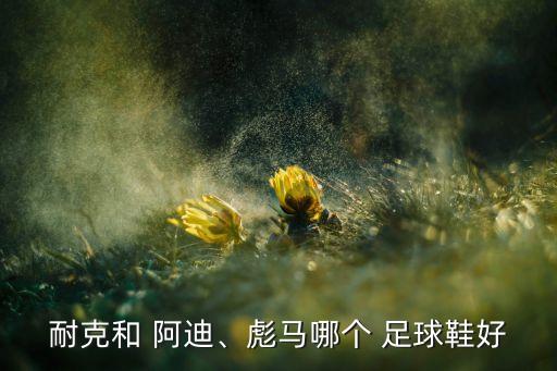 耐克和 阿迪、彪馬哪個 足球鞋好
