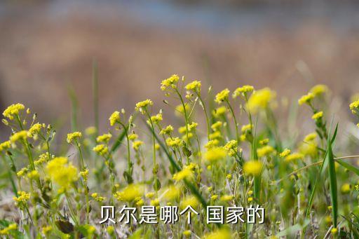  貝爾是哪個(gè) 國(guó)家的