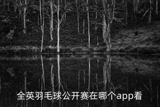 全英賽哪個(gè)臺(tái)轉(zhuǎn)播,2017全英羽毛球公開賽正式結(jié)束