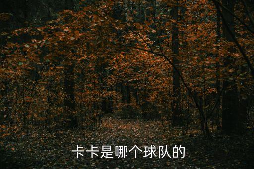 卡卡在哪個(gè)隊(duì)踢球,卡卡轉(zhuǎn)會奧蘭多城隊(duì)