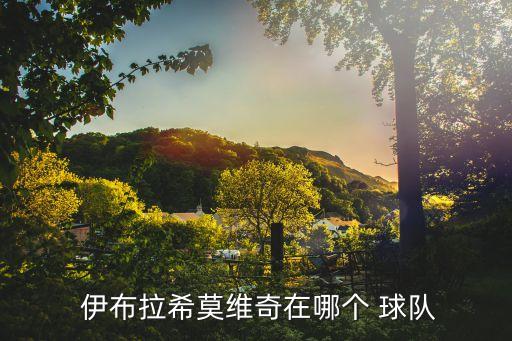  伊布拉希莫維奇在哪個 球隊