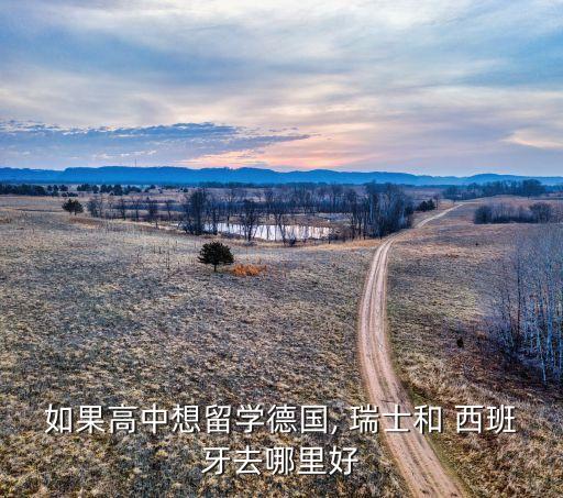 西班牙瑞士哪個好,歐冠杯:西班牙瑞士3比1不敵巴塞羅那
