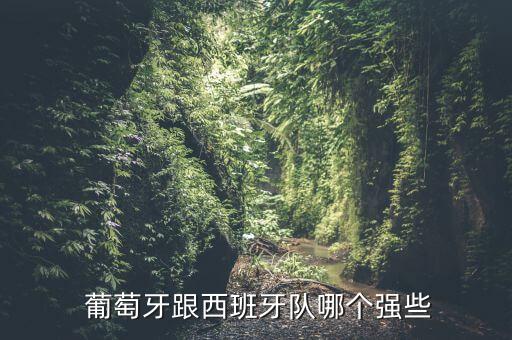  葡萄牙跟西班牙隊哪個強些