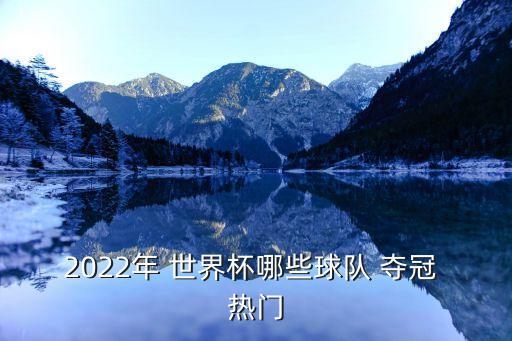 世界杯哪個(gè)隊(duì)是奪冠熱門,我覺得巴西是奪冠熱門隊(duì)