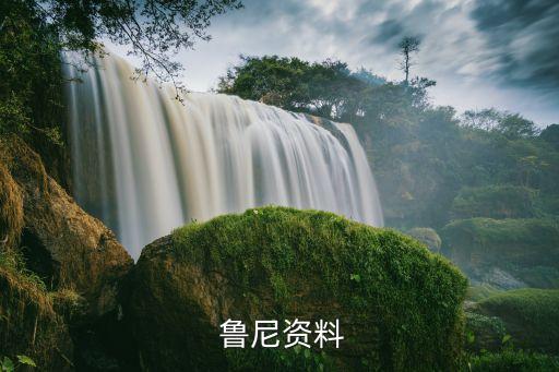 哪個賽季的魯尼手感,魯尼與德羅巴不同，他可以打全能前鋒