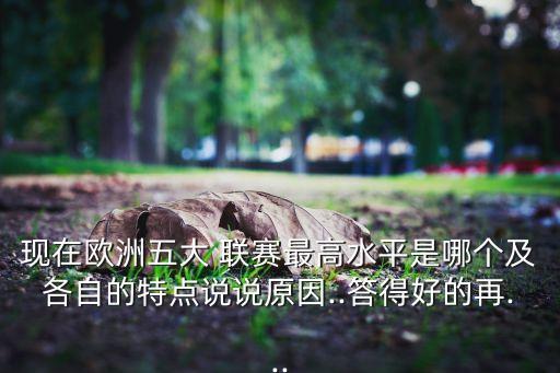 愛甲是哪個(gè)國家聯(lián)賽,意甲聯(lián)賽是世界最高職業(yè)足球聯(lián)賽之一