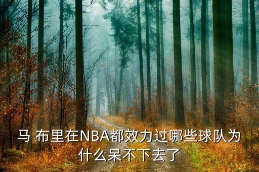 nba2k14馬布里在哪個(gè)隊(duì),我欣賞馬布里求勝心切