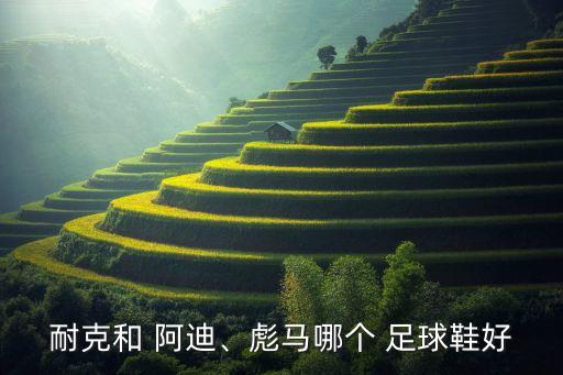 阿迪足球鞋哪個好,阿迪和耐克在足球鞋領(lǐng)域也有相當多系列產(chǎn)品