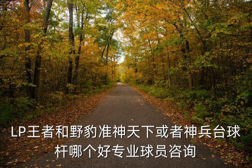 LP王者和野豹準(zhǔn)神天下或者神兵臺球桿哪個好專業(yè)球員咨詢