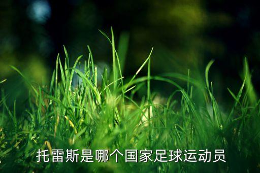  托雷斯是哪個(gè)國(guó)家足球運(yùn)動(dòng)員