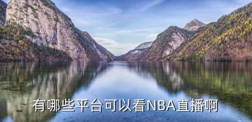 有哪些平臺(tái)可以看NBA直播啊
