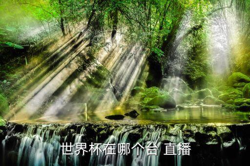 韓國哪個(gè)臺(tái)直播世界杯,央視直播五星運(yùn)動(dòng)全程直播呵呵