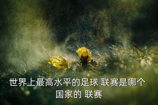 世界上最高水平的足球 聯(lián)賽是哪個 國家的 聯(lián)賽