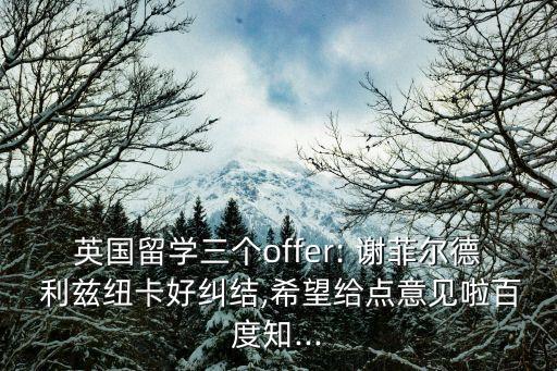 英國留學三個offer: 謝菲爾德 利茲紐卡好糾結(jié),希望給點意見啦百度知...