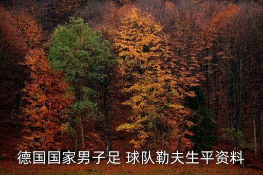 德國國家男子足 球隊勒夫生平資料