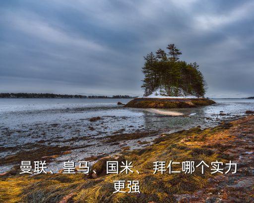 曼聯(lián)、皇馬、國(guó)米、 拜仁哪個(gè)實(shí)力更強(qiáng)