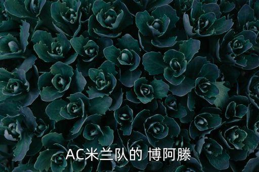 AC米蘭隊(duì)的 博阿滕