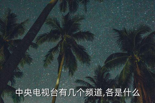 中央電視臺(tái)有幾個(gè)頻道,各是什么