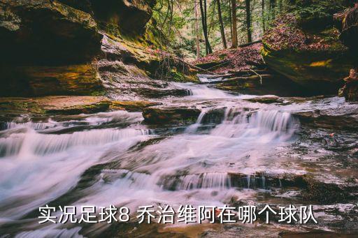 2018喬治在哪個隊(duì),喬治獲nba常規(guī)賽最快進(jìn)步球員