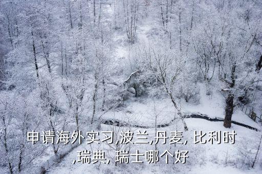 申請(qǐng)海外實(shí)習(xí),波蘭,丹麥, 比利時(shí),瑞典, 瑞士哪個(gè)好