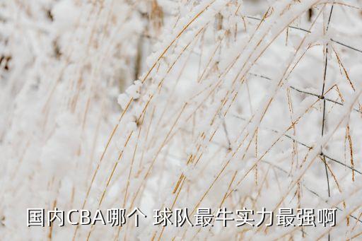 測(cè)試氣質(zhì)和哪個(gè)球隊(duì)最,我國(guó)30個(gè)球隊(duì)都有老板和球隊(duì)領(lǐng)袖