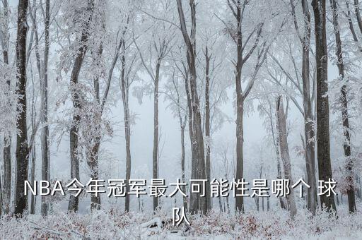 今年西部哪個球隊可以奪冠,我國籃球迷寄望丁彥雨航留在湖人隊