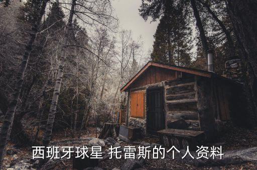 托雷斯現在在哪個球隊,費爾南多何塞托雷斯cas國籍:西班牙