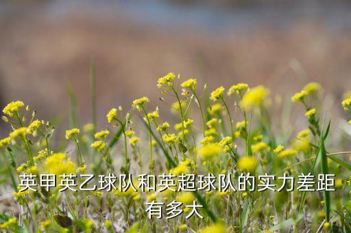  英甲英乙球隊(duì)和英超球隊(duì)的實(shí)力差距有多大