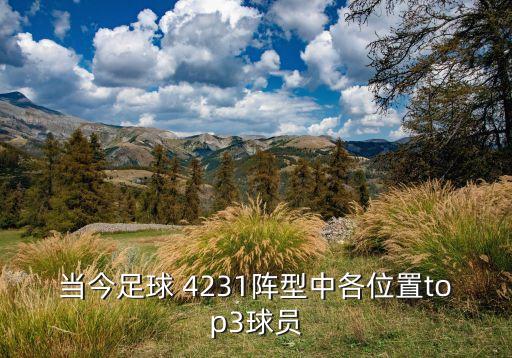 哪個(gè)隊(duì)打4231最好,放棄里克爾梅我覺得挺遺憾的!
