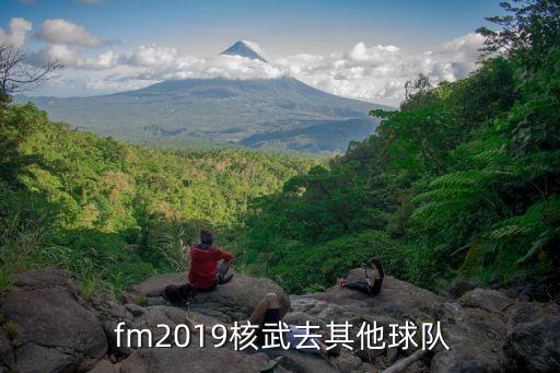 fm2019哪個(gè)隊(duì),新人選擇中超球隊(duì)推薦廣州恒大吳清源