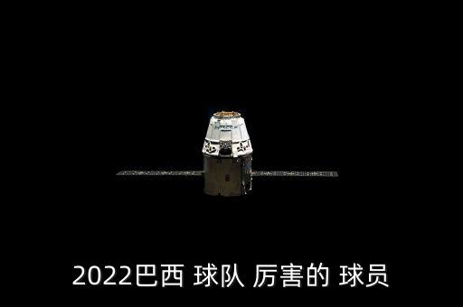 2022巴西 球隊 厲害的 球員