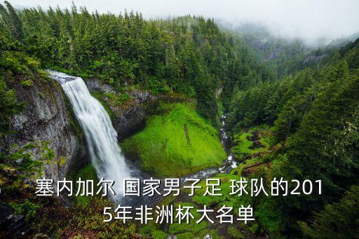 塞內(nèi)加爾 國家男子足 球隊(duì)的2015年非洲杯大名單
