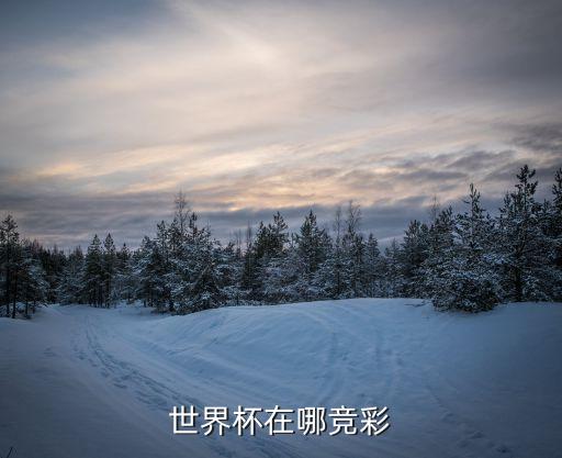 哪個(gè)彩票網(wǎng)站可以玩競猜,中國體育彩票網(wǎng)提供彩票相關(guān)游戲服務(wù)