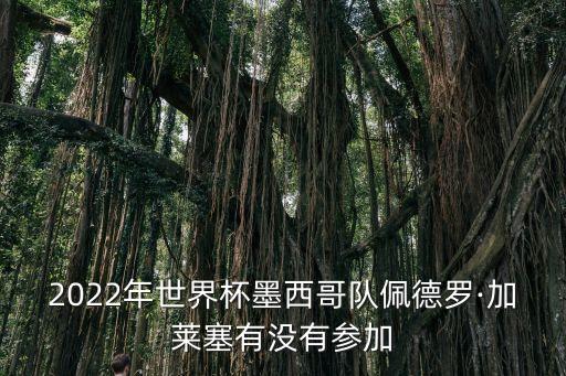 蒂華納和拉古納哪個(gè)隊(duì)實(shí)力強(qiáng),中國(guó)男足16支隊(duì)伍亞洲將獲四席