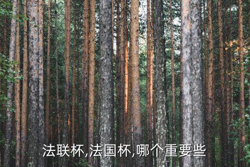 pas杯是哪個(gè)聯(lián)賽,法國聯(lián)賽杯對比歐洲冠軍杯更受歡迎